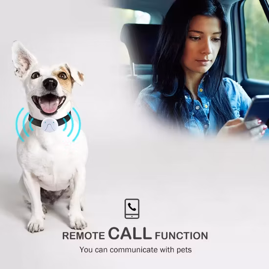 Coban Promoção Rastreador GPS para animais de estimação Tk201 Dispositivo automotivo de rastreamento para animais de estimação Coleira rastreadora GPS para gatos em tempo real